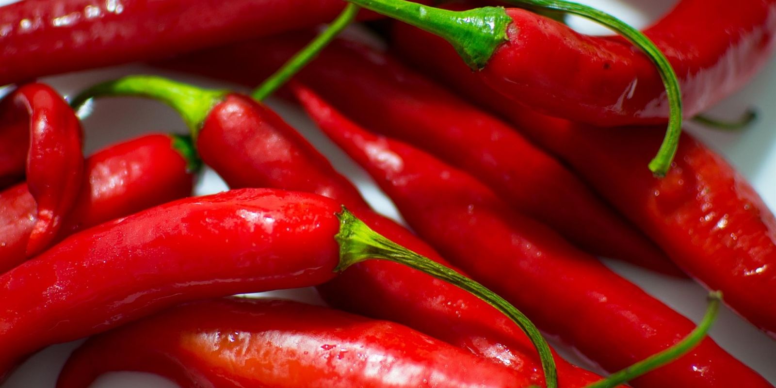 Il peperoncino più piccante