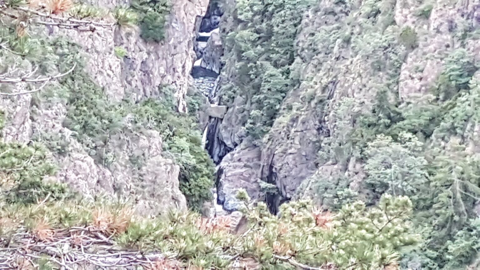 rio