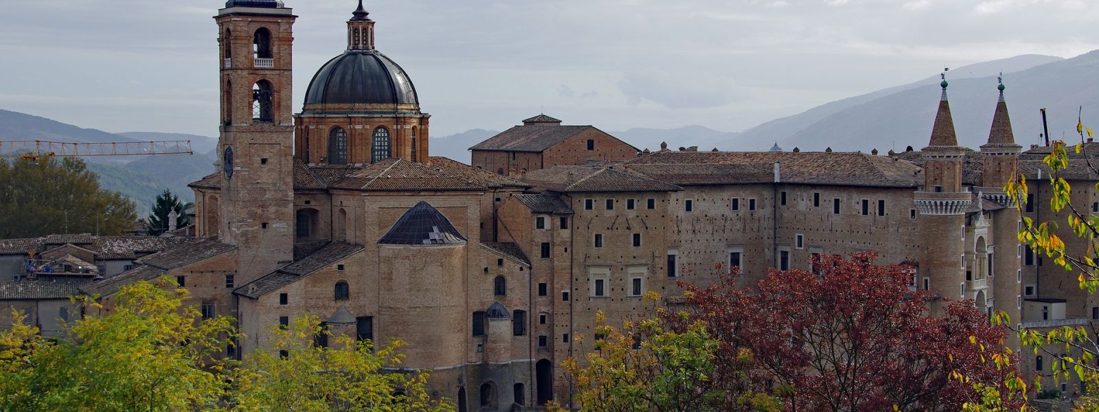 Panorama