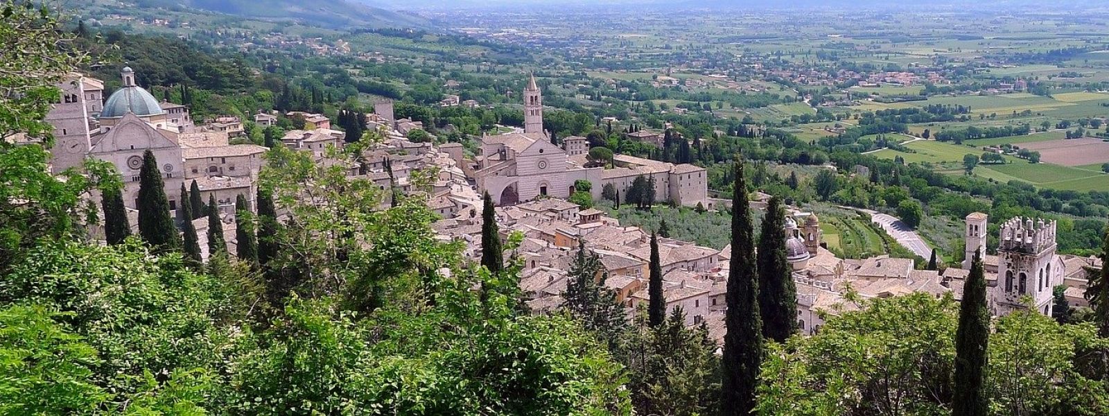 Panorama